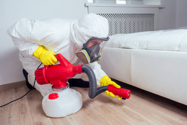 Professional Pest Control in Irvington, KY