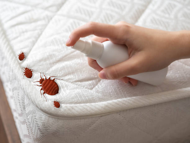 Best Pest Prevention Services  in Irvington, KY