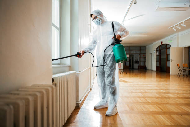 Best Termite Control Services  in Irvington, KY